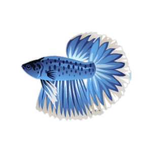 Cobalt Spring Betta